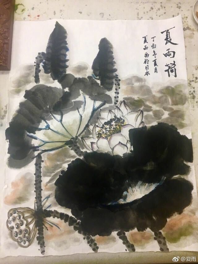 吴奇隆年纪轻轻就拿过跆拳道冠军,而江一燕的摄影兴趣还帮她得过国际大奖?