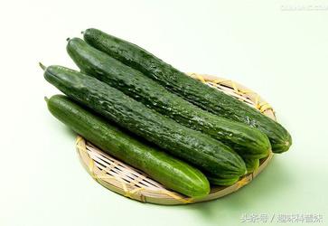 节食减肥该怎么吃不反弹,减肥不能节食不然一吃就胖