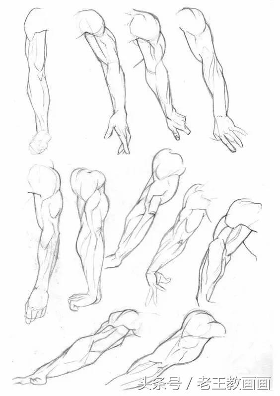 教100个零基础小白画画,100个适合零基础学习的画画教程