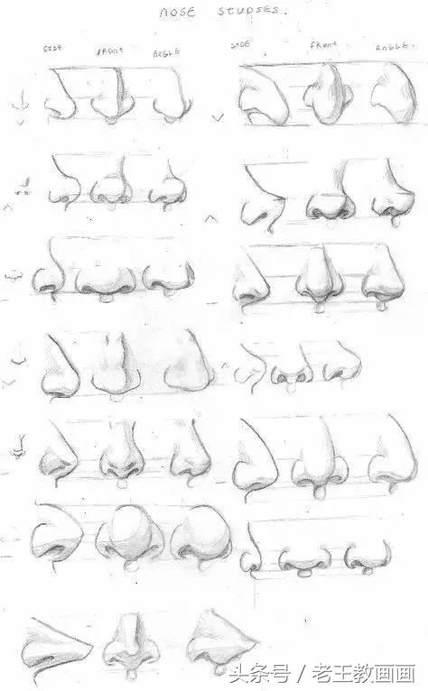 教100个零基础小白画画,100个适合零基础学习的画画教程