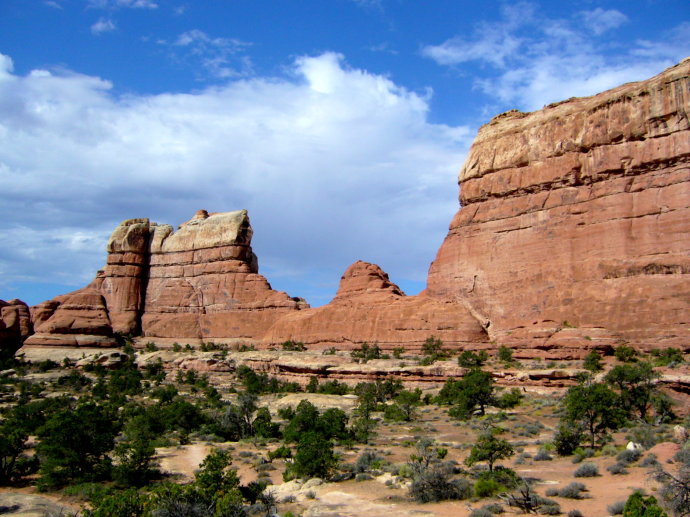 美西大峡谷简介,美国红杉国家公园一日游