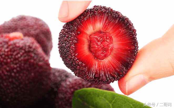 杨梅挑选小技巧,杨梅怎么样才能熟得快