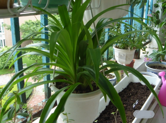 惬意的小资生活是什么,小资生活就是这么简单的