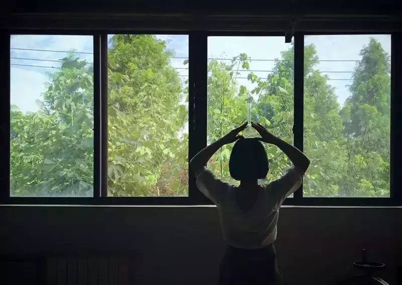 用手机拍照片的技巧,手机什么软件拍出来的照片最好看