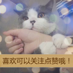 简单做香甜的美食,怎么做榴莲酥好吃