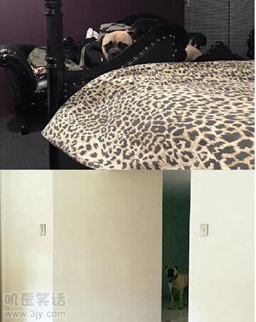 开心一刻：要是你结婚，妈不仅不堵门，不要红包，还会送新郎红包