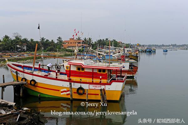 海滩捕鱼的几种方法,海边捕鱼吃海鲜视频大全
