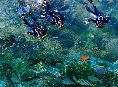 广东最好的海岛旅游攻略,广东海岛旅游景点排名