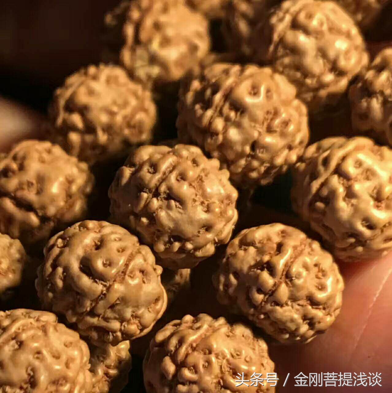 金刚菩提纹路里反碱,六瓣雪花金刚菩提纹路