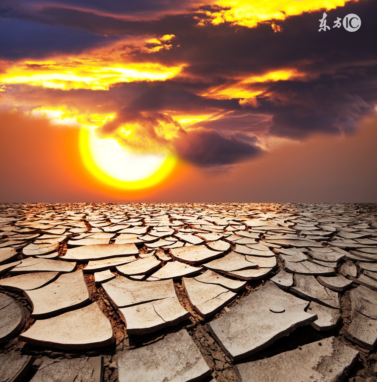 防暑降温好用的方法有哪些,防暑降温必备的十种药品