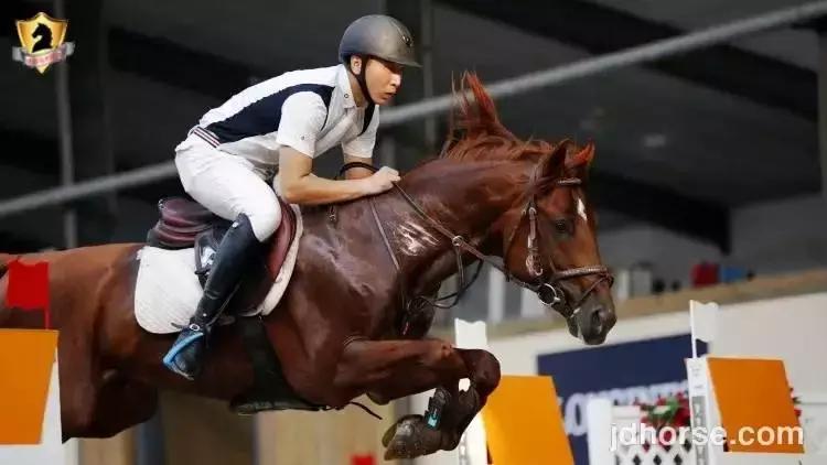 马术联赛总决赛,2019马术比赛鸟巢之路