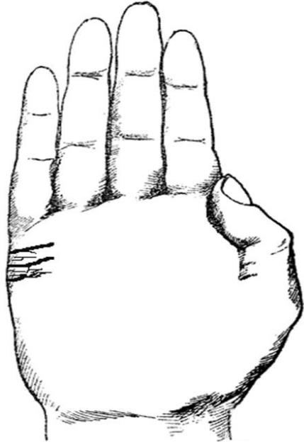 婚姻线不好就代表婚姻不幸福吗,当心婚姻的生肖