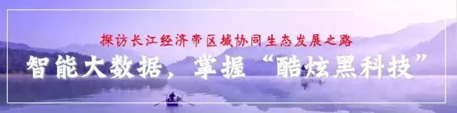 网媒人高温前行，实地探访后，想说这里“港港的”