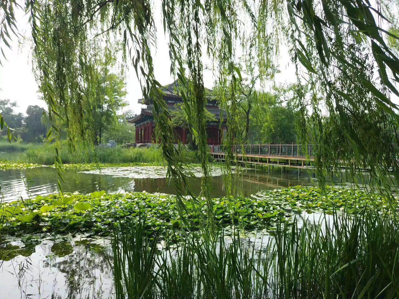 一个被历史毁掉的盛世园林：未被重建，何不夏季去走一走，依旧美不胜收