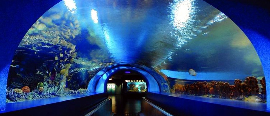 大阪旅游签证办理攻略,日本大阪旅游签证办理流程图解