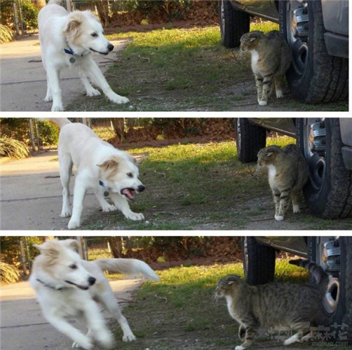 开心一刻幽默短笑话大全,笑话段子大全笑到肚子疼正能量