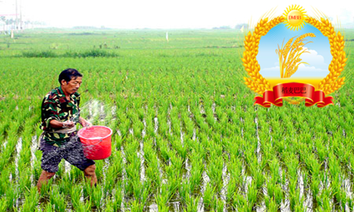 农友撒尿素,农民对化肥认知错误