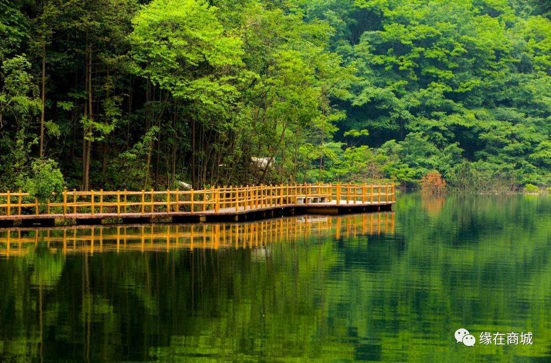 盛夏七月,商城县这几个地方被避暑游客挤爆了……