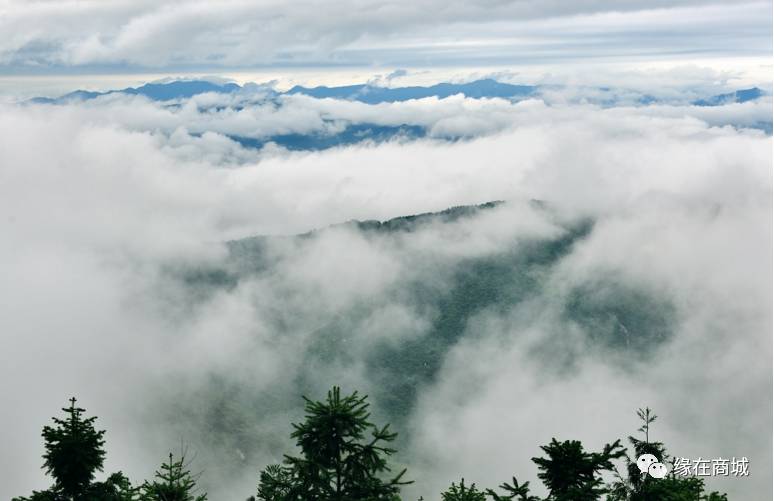 盛夏七月,商城县这几个地方被避暑游客挤爆了……