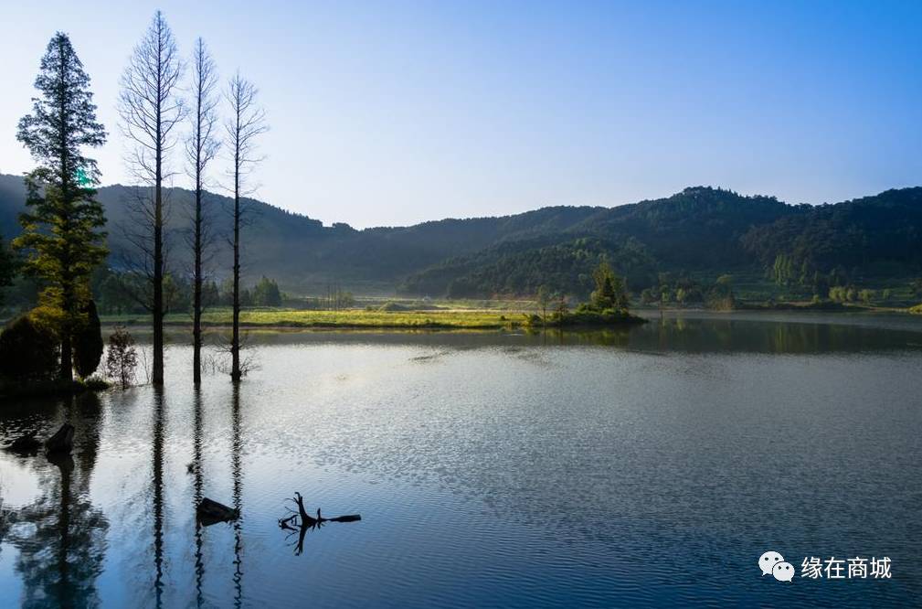 盛夏七月,商城县这几个地方被避暑游客挤爆了……