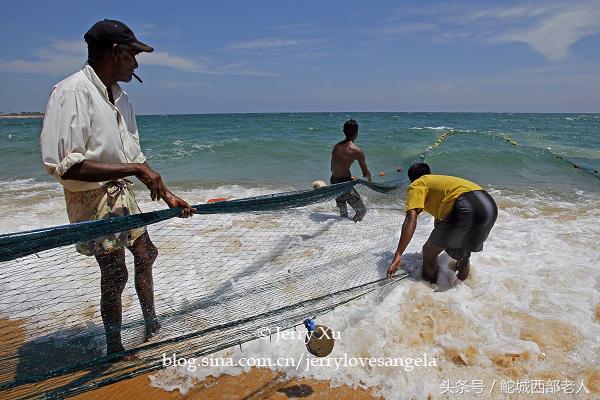 海滩捕鱼的几种方法,海边捕鱼吃海鲜视频大全
