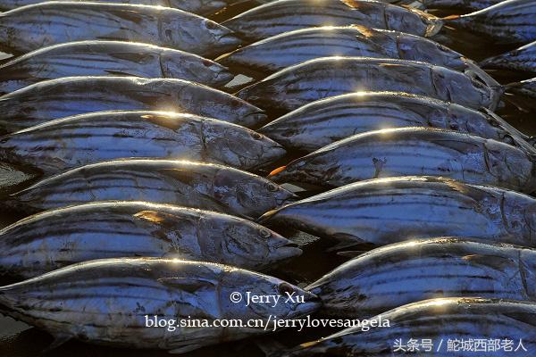 海滩捕鱼的几种方法,海边捕鱼吃海鲜视频大全