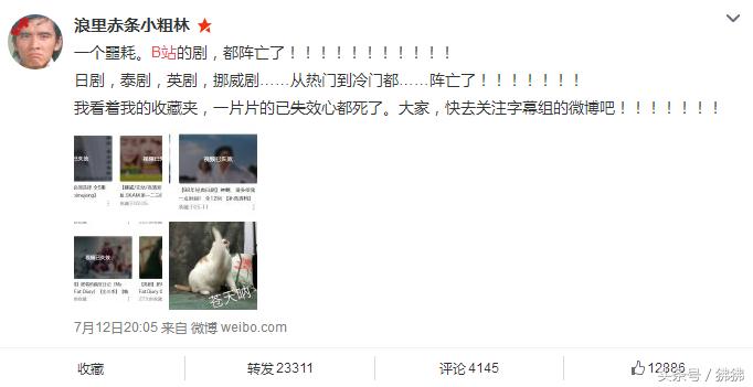 A站、B站大规模下架影视内容，怎么做才能继续观看收藏的电视剧？