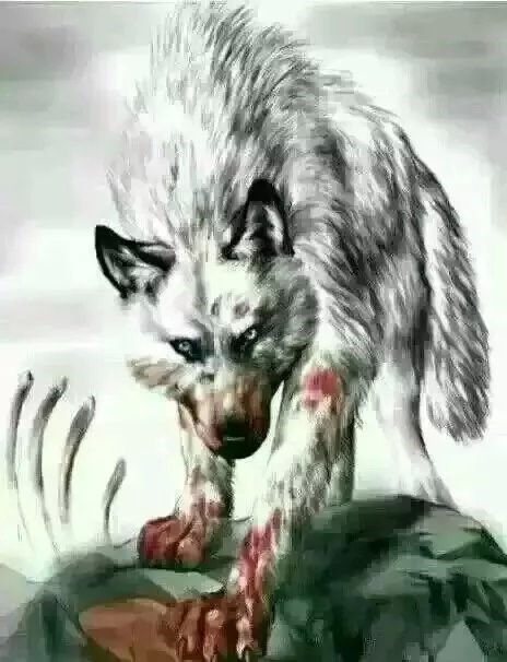 讲讲我这个穷二代闯荡社会的一些感悟走出迷茫（连载2）