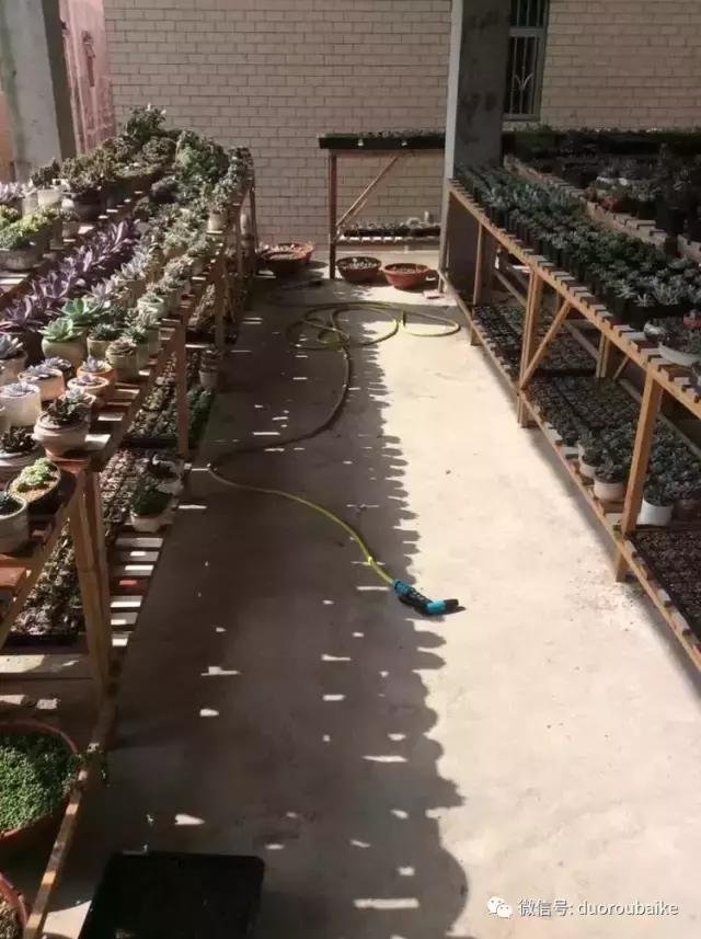 自制多肉花架最简单的方法,自制多肉花架子