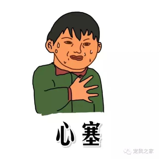 写给猪猪小情书,盘点猪猪最好听的歌