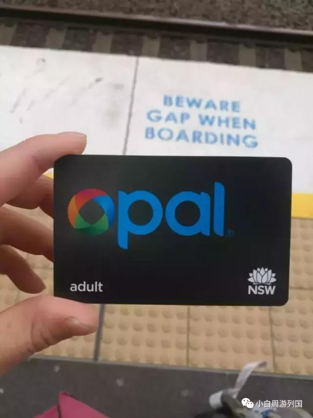 小白穷游澳洲系列之悉尼交通篇：妹子教你如何省钱乘*交坐**通工具