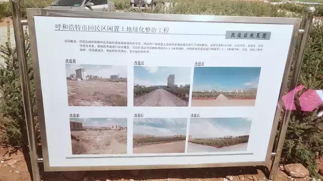 醉美西城｜“城在绿中人在景中”探访绿荫之下的回民区