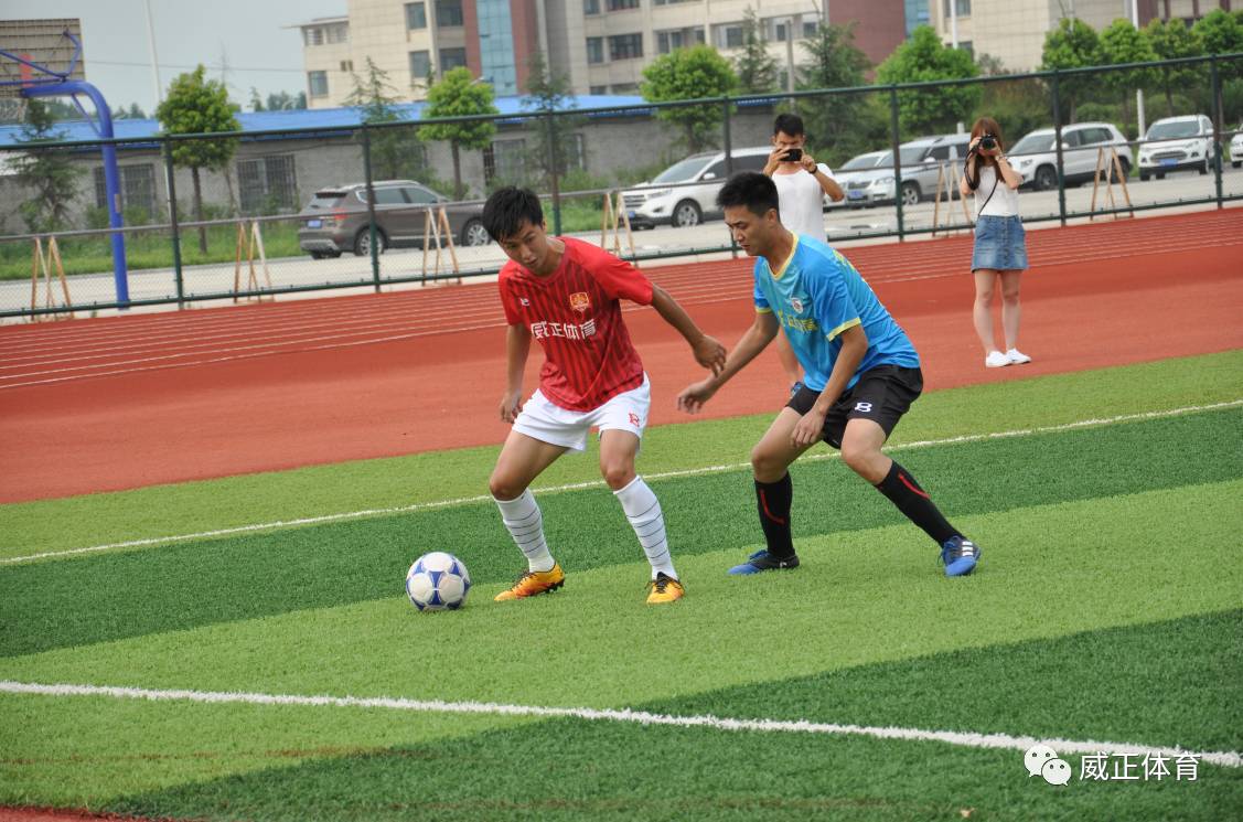 战报精彩视频大全,战报完整版视频