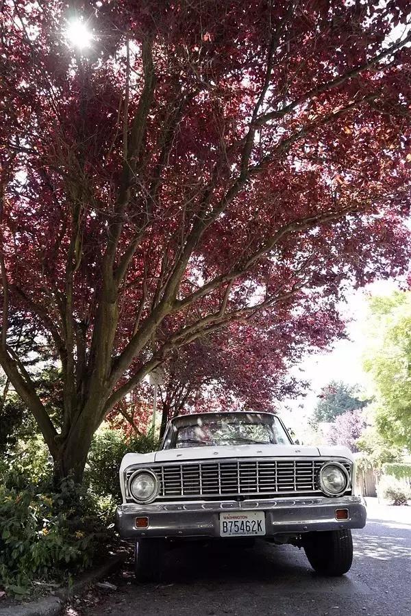 徕卡tl2视频样片,徕卡tl2扫街