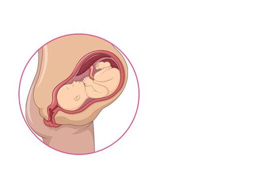 你绝对不知道的怀孕十个冷知识,10大怀孕初期症状详解