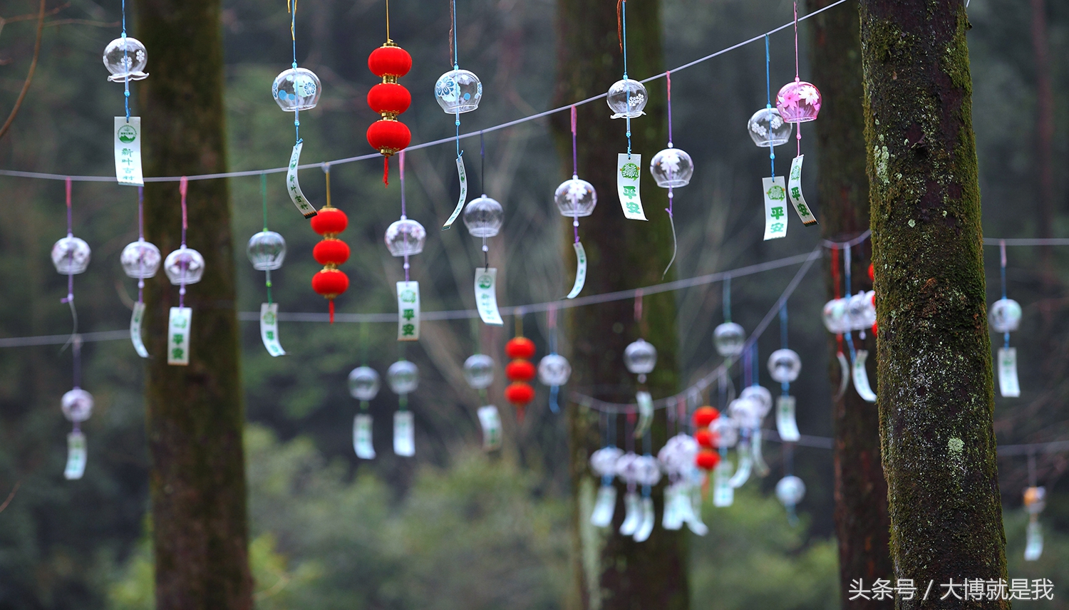 静下来看看风景吧,静下来看看周围的风景