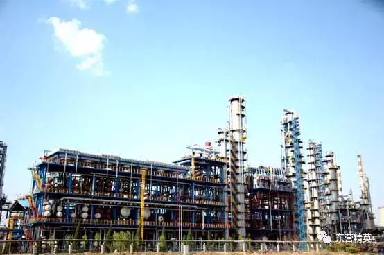 东营石化公司排名,东营石油企业名录