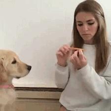 隔壁的wife超好，用起来真爽！