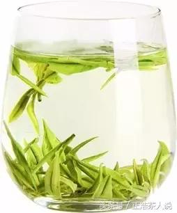 其实喝茶还有很多需要注意的事情,这九个喝茶误区你中枪了吗