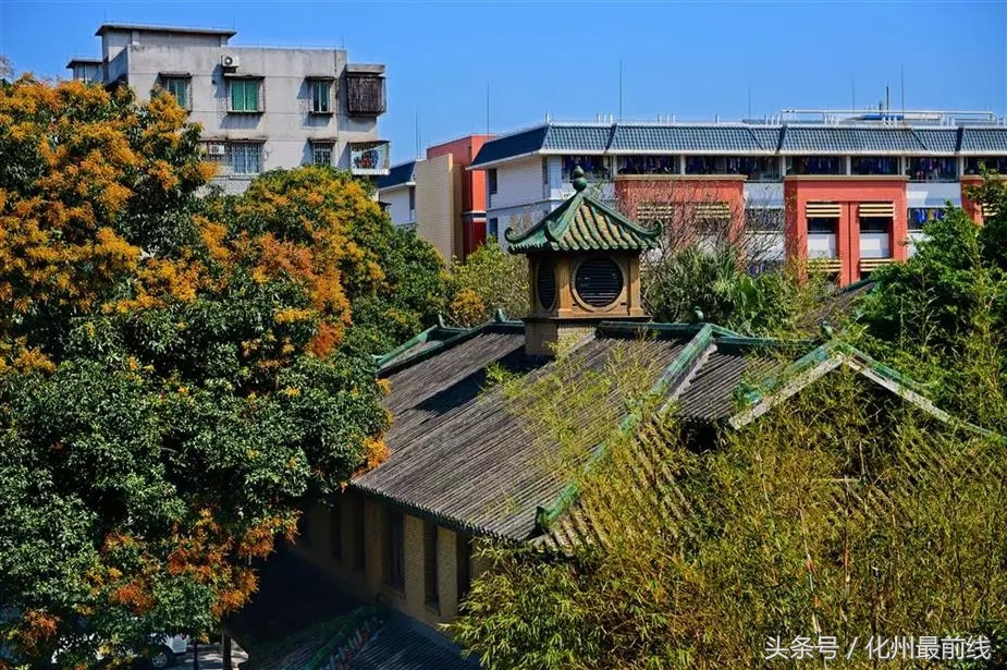 茂名高中五大名校有哪些,茂名十大好中学排行榜名单