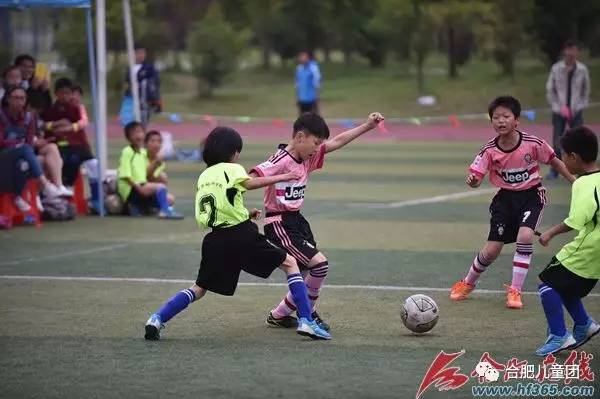 合肥市有资质的26所学校,合肥最新一批高校名单