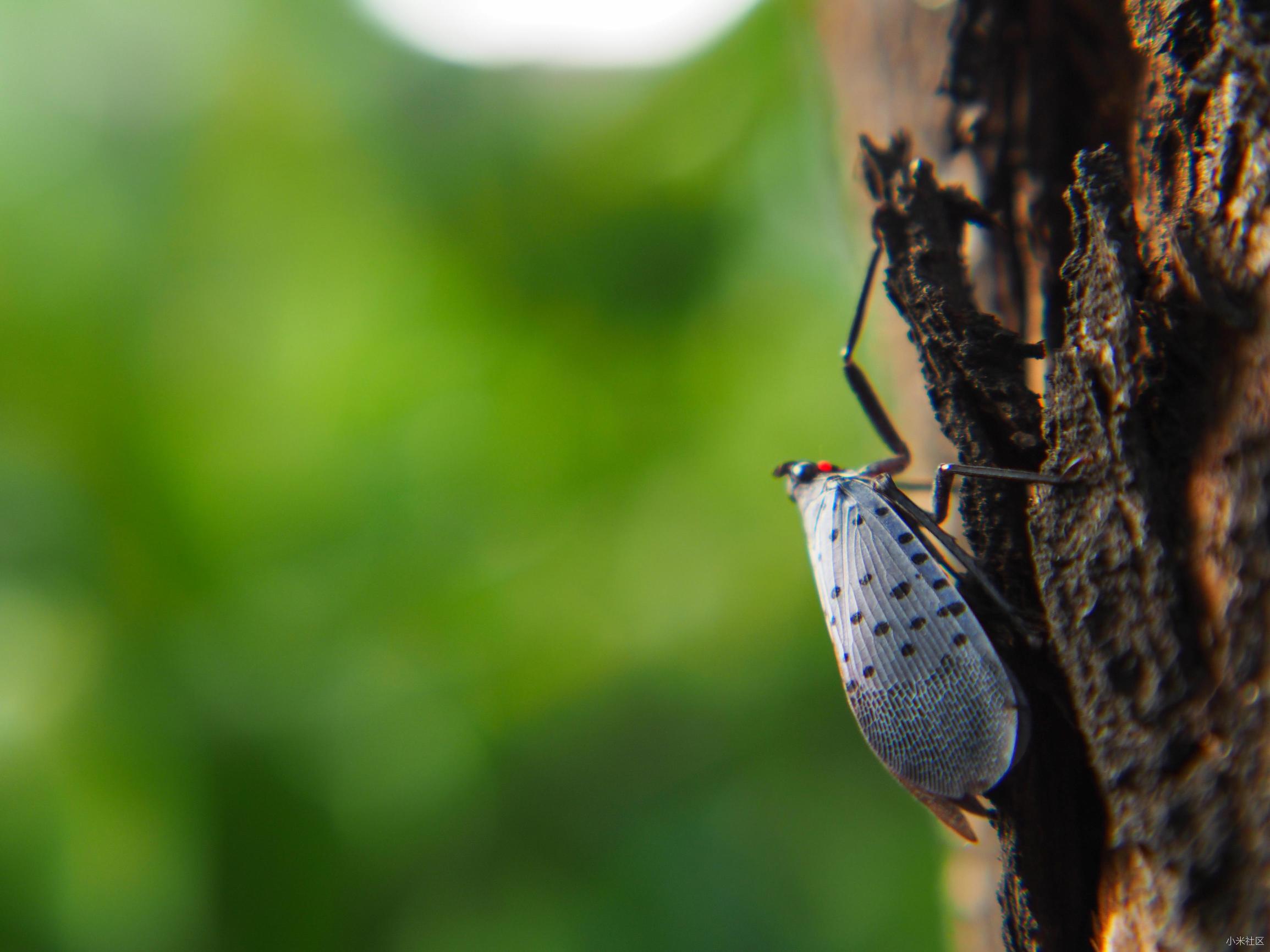 怎样选择最适用便携式相机三脚架,佳能相机三脚架推荐新手