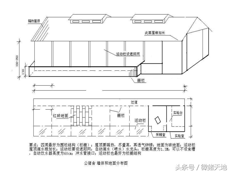 农村100头育肥猪小型猪场设计图,农村小型养猪场设计规划图