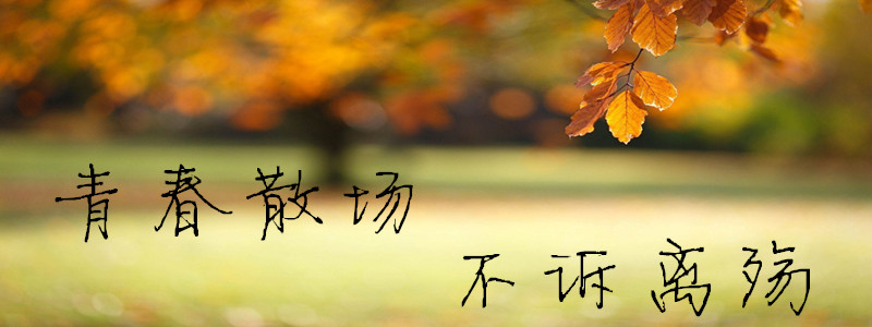 曾经的冒泡，还有谁在坚持等待？