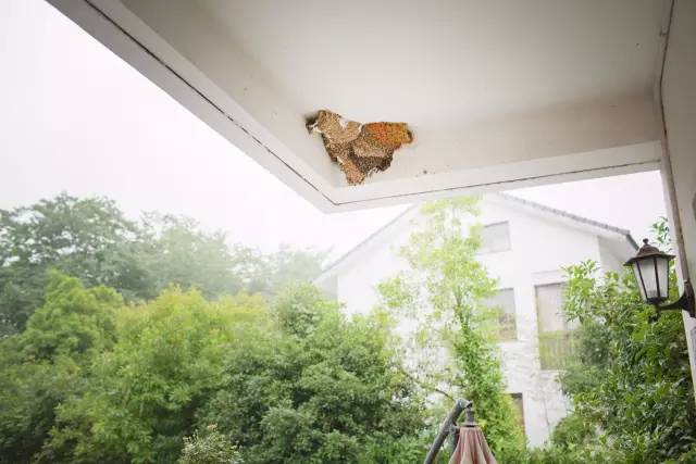 灵隐民宿云溪涧度假别院,灵隐边上最好民宿