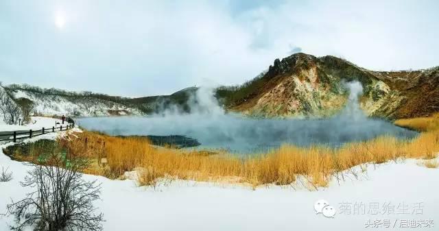 这个暑假是去墨西哥还是大不列颠,这个暑假可以去日本吗