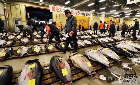 这个暑假是去墨西哥还是大不列颠,这个暑假可以去日本吗