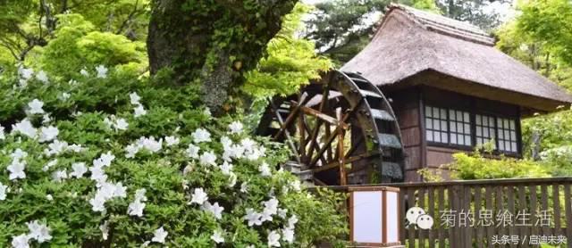 这个暑假是去墨西哥还是大不列颠,这个暑假可以去日本吗