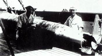 中国第一次远征南极是什么时候,曾经侵略过中国海岛的国家