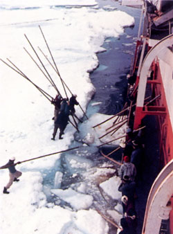 中国第一次远征南极是什么时候,曾经侵略过中国海岛的国家